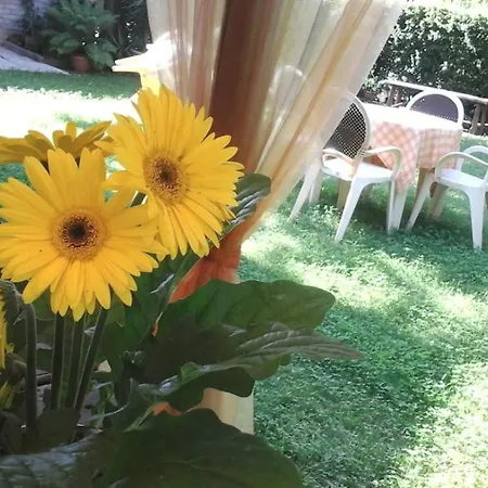 Agroturismo Agriturismo Praetto Marcon